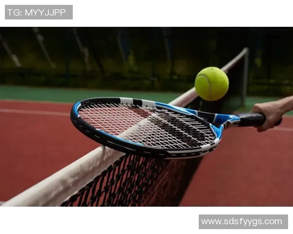 王磊亲授网球技巧与心得体会助你提升球技的秘密分享