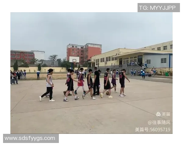 英超杨秀英深度解析篮球技巧与心得分享让你爱上这项运动