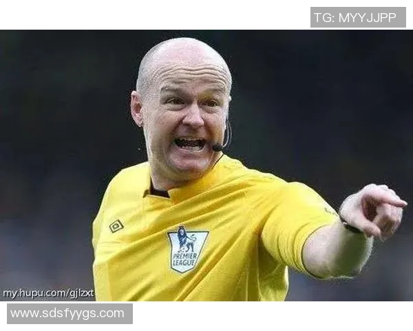 英超热议羽毛球杭州队如何通过团队协作实现质变与突破