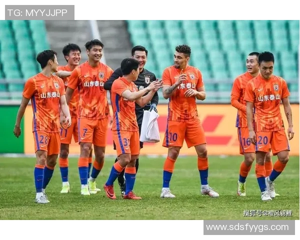 武汉网球队反击战术分析与得失总结探讨