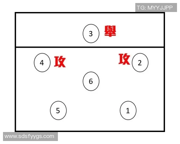 重庆排球队进攻战术解析与技术深度分析