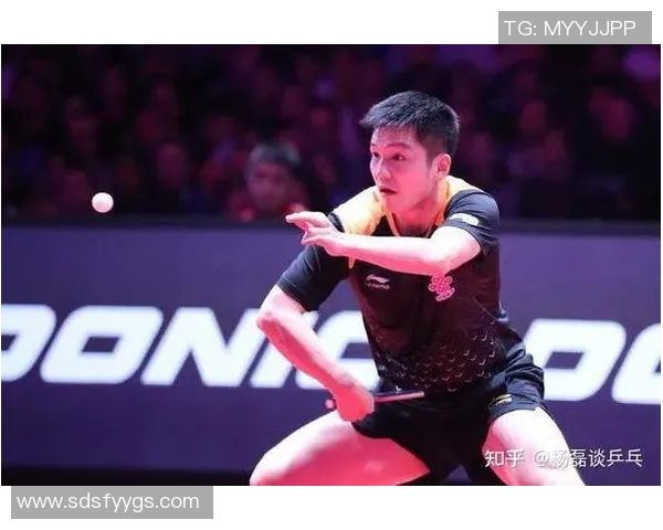 聚焦北京乒乓球队的训练节奏与发展策略探讨