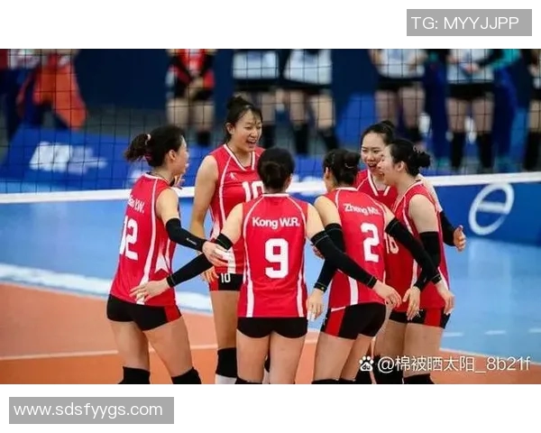 运动数据南京排球队团队协作深度解析与其他球队的对比研究