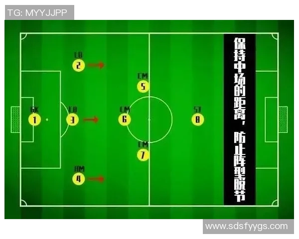 运动数据南京足球队战术揭秘从阵型到战术执行的全面分析与探讨