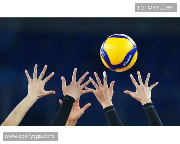 实时新闻排球魅力无穷深入了解上海排球队的灵活战术与团队精神