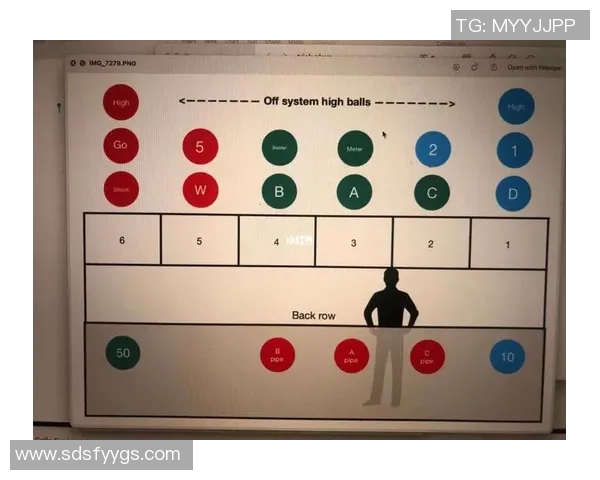 实时新闻深圳排球队整体压制战术解析与实战应用探讨